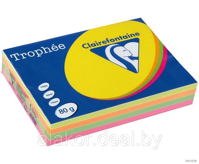 Бумага цветная "Trophée", А4, 80г/м2, 100л., неон, ассорти - фото 1 - id-p116346743