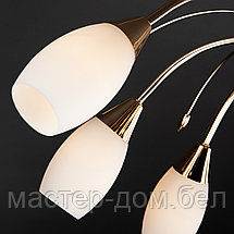 Eurosvet 22080/9, фото 3
