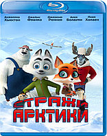 Стражи Арктики (BLU RAY Видео-фильм)