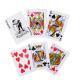 Набор для игры в покер, 7х4,2х14 см, 24 фишки + дилер+ карты, пластик, бумага, 538-093, фото 2