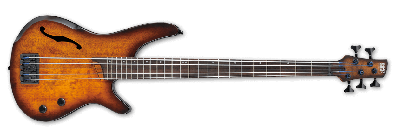 Ibanez Bass Workshop Series SRH505 DEF - фото 1 - id-p116407545