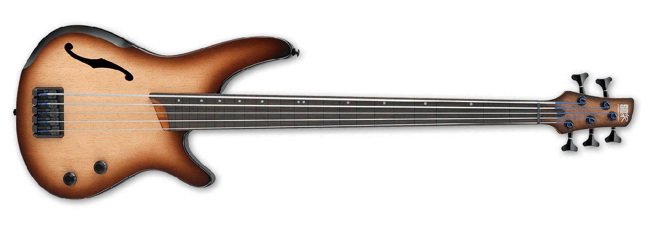 Ibanez Bass Workshop Series SRH505 FNNF