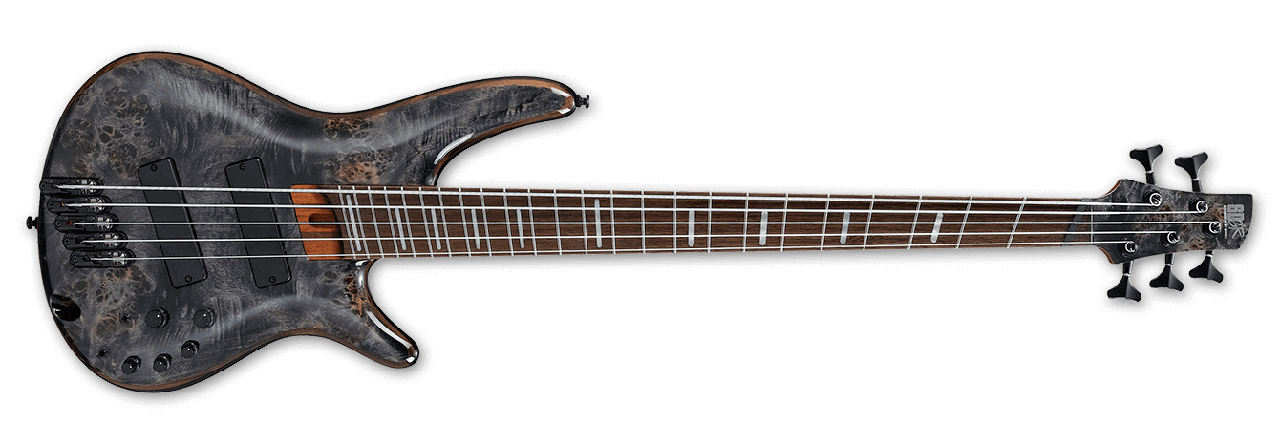 Ibanez Bass Workshop Series SRMS805 DTW