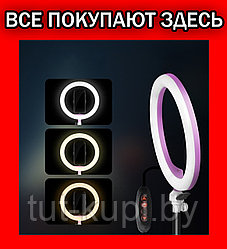 Кольцевая светодиодная лампа Ring Fill Light 26 см + штатив (2.1м) + держатель для телефона