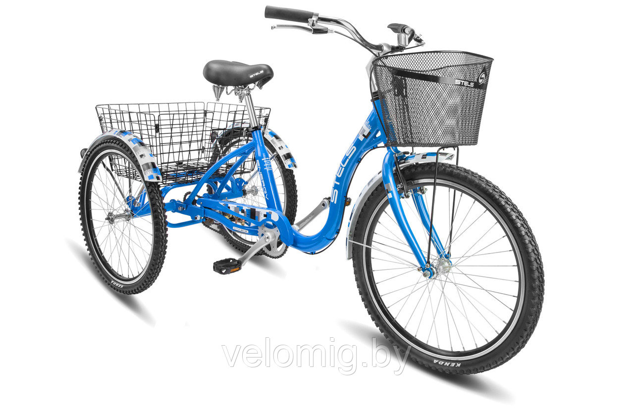 Велосипед грузовой Stels Energy-IV-24-V020 (2020) - фото 1 - id-p35819392
