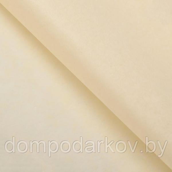 Бумага упаковочная тишью, бежевый, 50 см х 66 см - фото 1 - id-p116555251