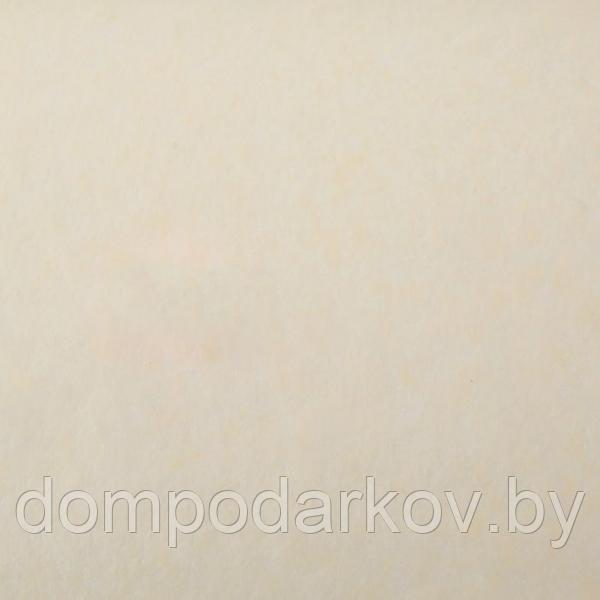 Бумага упаковочная тишью, бежевый, 50 см х 66 см - фото 2 - id-p116555251