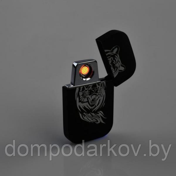 Зажигалка электронная "Тигр", спираль, USB, микс - фото 3 - id-p107919588