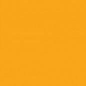 Термотрансферная пленка FlexCut Sunny Yellow 06, желтый (полиуретановая основа), SEF Франция