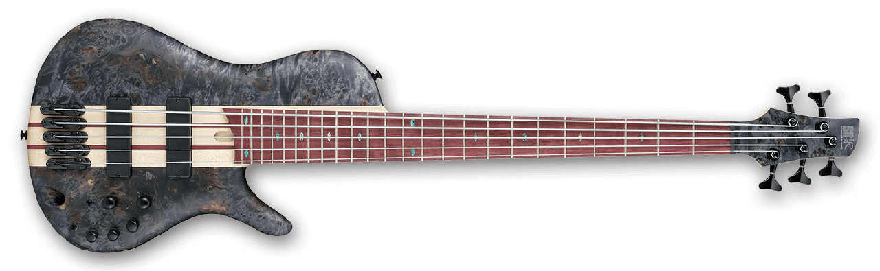 Ibanez Bass Workshop Series SRSC805 DTF