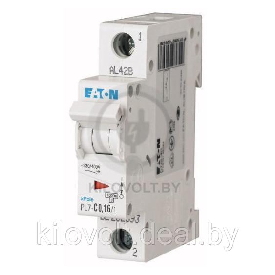 Автоматический выключатель Eaton PL7-C1/1, 1P, 1A, хар-ка C, 10kA, 1M - фото 1 - id-p116685261