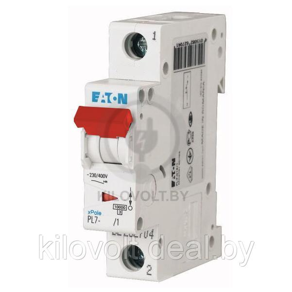 Автоматический выключатель Eaton PL7-C10/1, 1P, 10A, хар-ка C, 10kA, 1M - фото 1 - id-p116736710