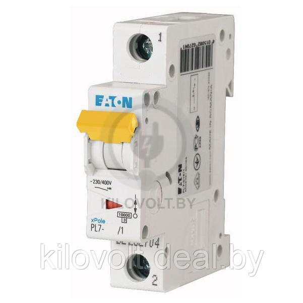 Автоматический выключатель Eaton PL7-C25/1, 1P, 25A, хар-ка C, 10kA, 1M - фото 1 - id-p116740616