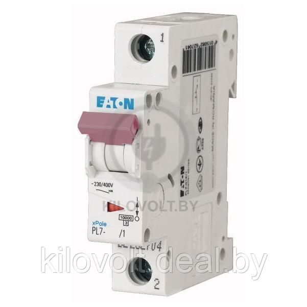 Автоматический выключатель Eaton PL7-C32/1, 1P, 32A, хар-ка C, 10kA, 1M - фото 1 - id-p116741799