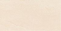 Blink beige 30.8*60.8