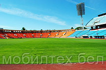 Стадион Динамо: газон июнь 2011