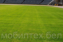 Стадион Трактор: газон июнь 2011