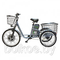 Электровелосипед трехколесный E-Motions Kangoo-ru 500W, фото 3