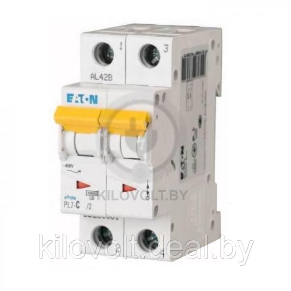 Автоматический выключатель Eaton PL7-C25/2, 2P, 25A, хар-ка C, 10kA, 2M 263361 - фото 1 - id-p116854781