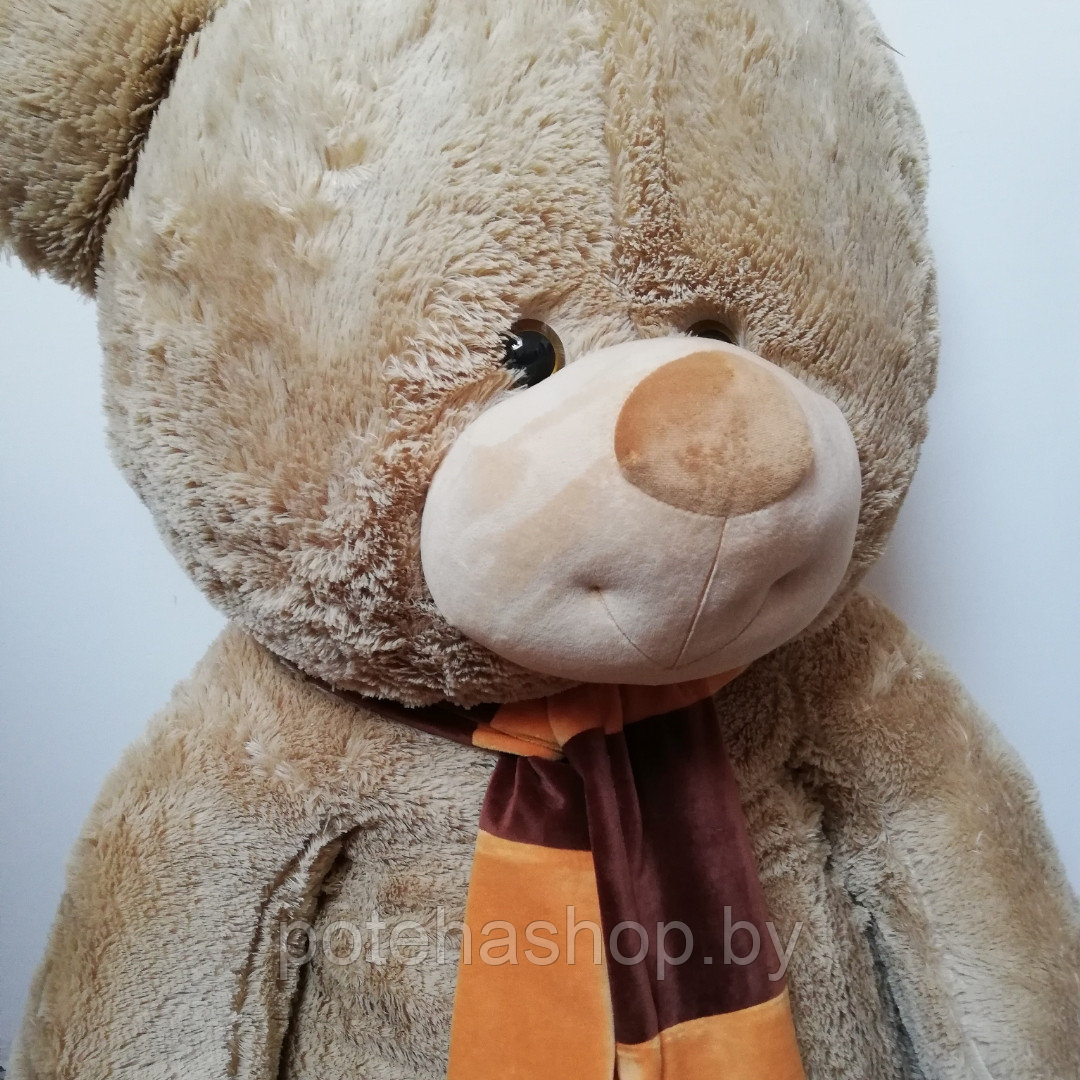 Мягкая игрушка Медведь Любимчик 190 см - фото 3 - id-p116912931