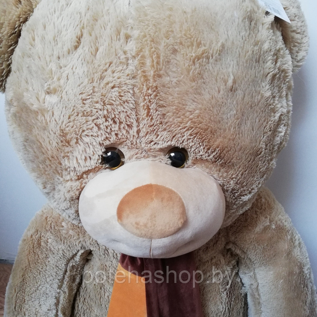Мягкая игрушка Медведь Любимчик 190 см - фото 2 - id-p116912931