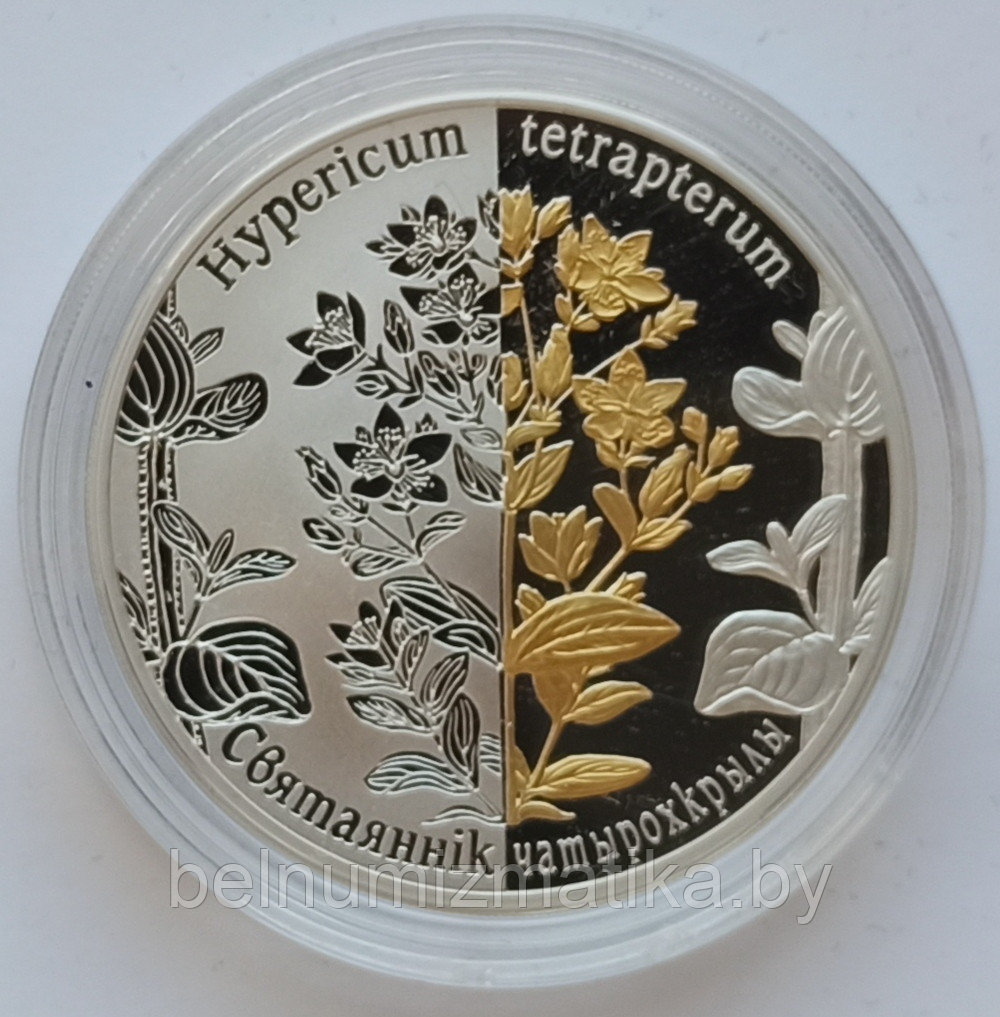 Зверобой четырехкрылый, 20 рублей 2013, серебро #BelCoinArt, фрагментарная позолота