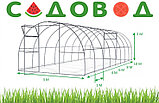Теплица  Агрохит (Садовод Агро ОТ ) 6м из поликарбоната 4мм. Труба оцинкова, фото 2