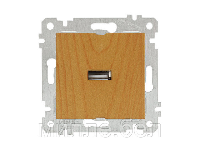 Розетка 1-ая USB (скрытая, без рамки) дуб, RITA, MUTLUSAN (USB-зарядка, 5V-2.1A) - фото 1 - id-p116448117
