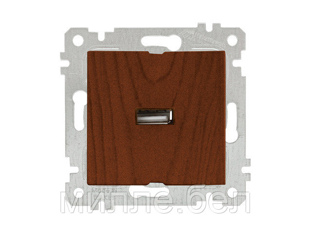 Розетка 1-ая USB (скрытая, без рамки) орех, RITA, MUTLUSAN (USB-зарядка, 5V-2.1A) - фото 1 - id-p116448120
