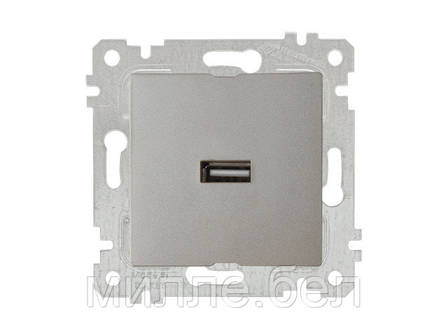 Розетка 1-ая USB (скрытая, без рамки) титан, RITA, MUTLUSAN (USB-зарядка, 5V-2.1A) - фото 1 - id-p116448121