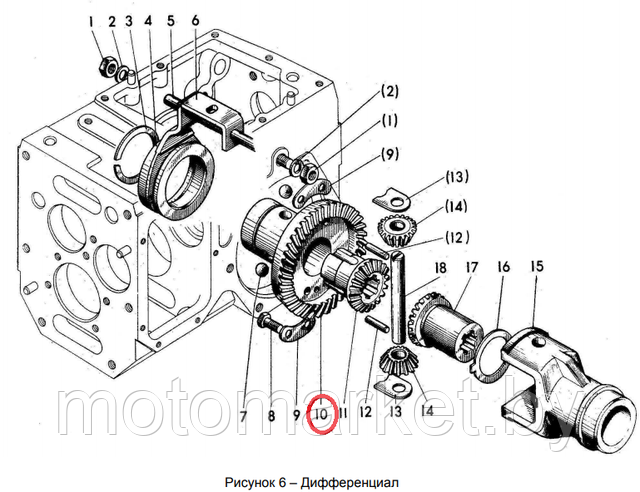 koleso zubchatoe  differenciala motobloka MTZ   motomarket.by