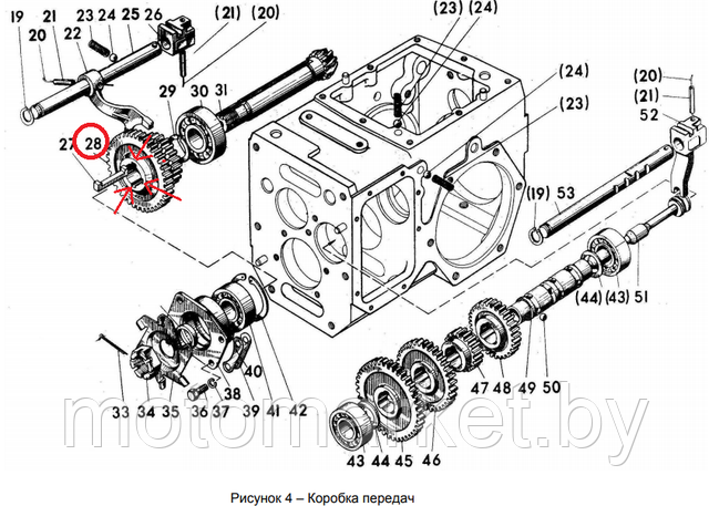 shestiarnia  reversa motobloka  MTZ motomarket.by