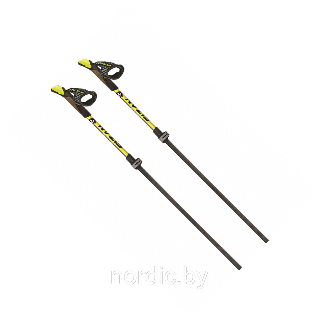 Палки Fizan Carbon Pro, Ca 80, телескопические