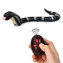 Радиоуправляемый робот змея кобра на радиоуправлении арт. 88008B ( 8808) с пультом игрушка для детей, фото 4