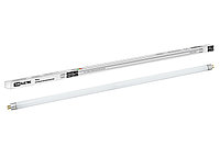 Лампа люминесцентная линейная двухцокольная ЛЛ-12/20Вт, T4/G5, 4000 К, длина 565,2мм TDM