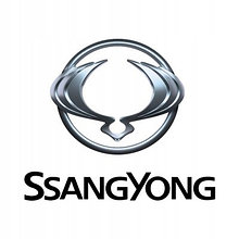 Автомобильные коврики в салон и багажник для SsangYong