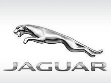 Автомобильные коврики в салон и багажник для Jaguar