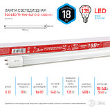 Лампа светодиодная ЭРА RED LineLED T8-18W-840-G13 BR-1200mm (диод, стекл. трубка,18Вт, непов  цоколь G13), фото 2