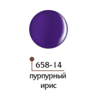 4Д гель для лепки №14 пурпурный ирис Formula Profi, 5 гр