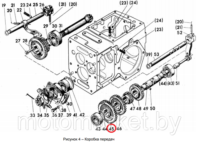 koleso zebchatoe  motobloka mtz   05-1701212 motomarket.by