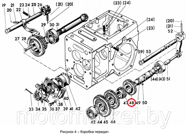 koleso zubchatoe motobloka mtz  05 -1701219 motomarket.by