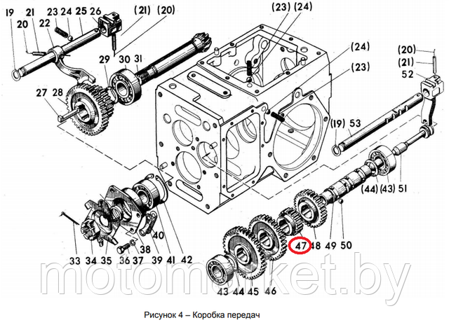 koleso zubchatoe motobloka mtz   05-1701216 motomarket.by