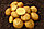 Картофель семенной сорта Винета, Германия, фото 2