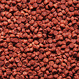 Sera Granured (гранулы), 250ml/135g - корм для плотоядных цихлид (гранулы), фото 2