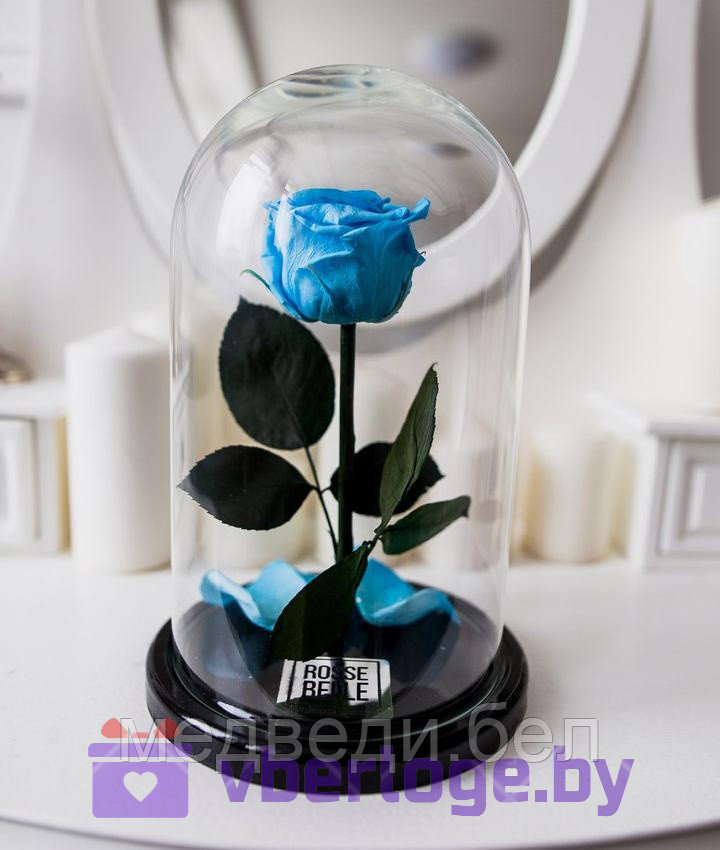 Роза в колбе 28 см, Baby Blue Premium