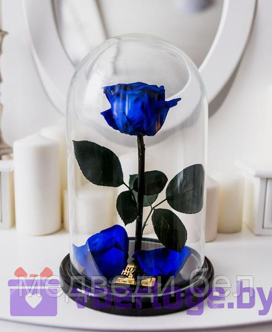 Роза в колбе 28 см, Royal Blue Premium - фото 1 - id-p78141807