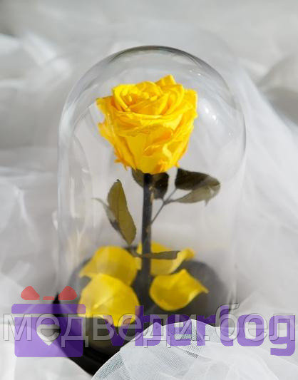 Роза в колбе 28 см, Sunny Premium - фото 1 - id-p78141808