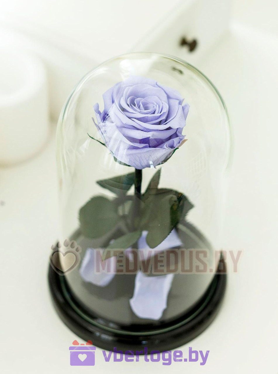 Роза в колбе 28 см, Lilac Premium - фото 1 - id-p78141810
