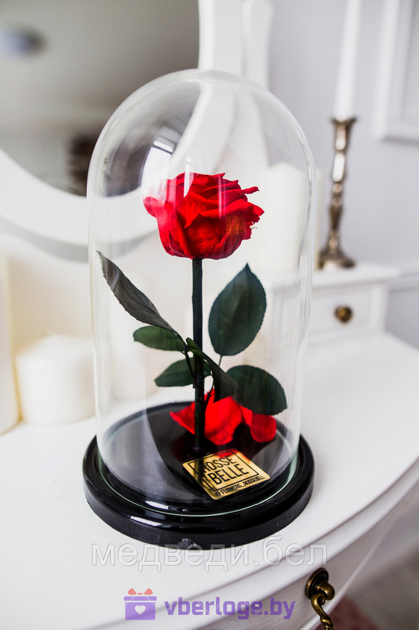 Роза в колбе 28 см, Romantic Red Premium - фото 1 - id-p78141812