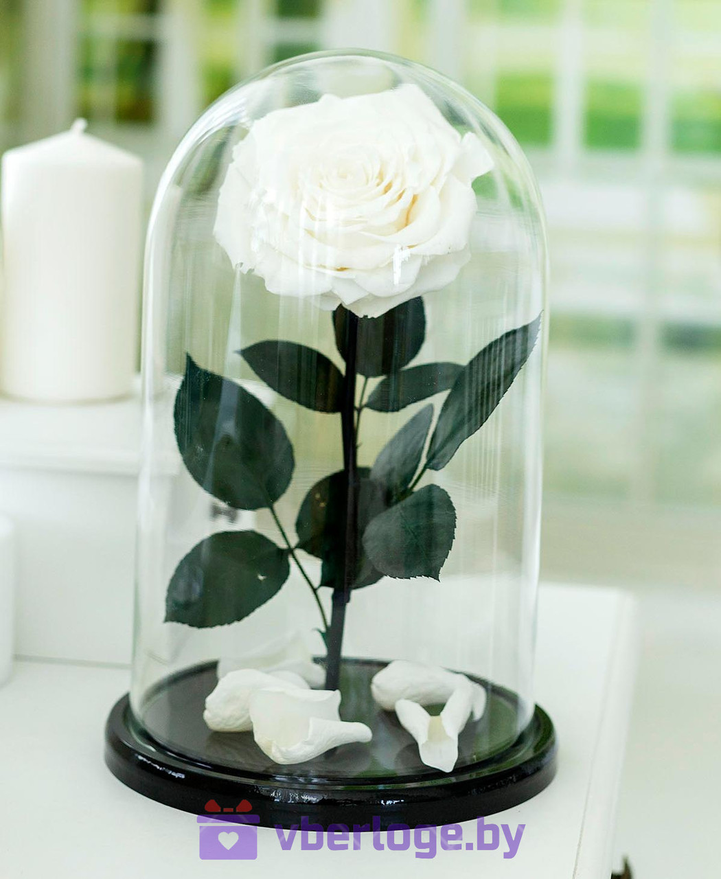 Белая роза в колбе 32 см, White Pearl Vip - фото 1 - id-p78141825